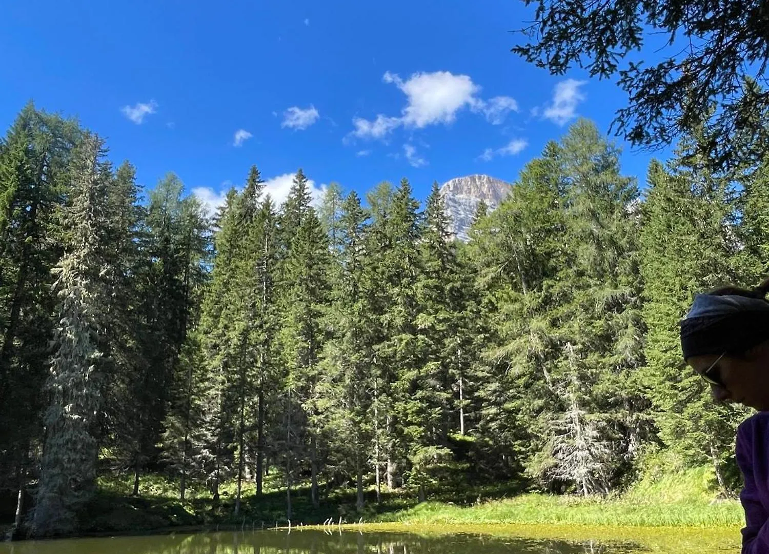 Appartamento Sogno Delle Dolomiti Calalzo di Cadore