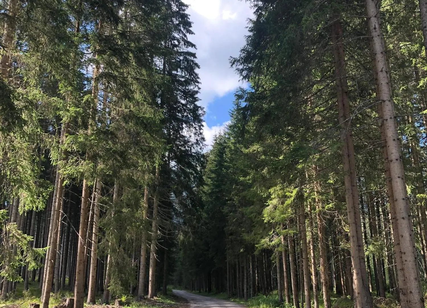 Appartamento Sogno Delle Dolomiti Calalzo di Cadore