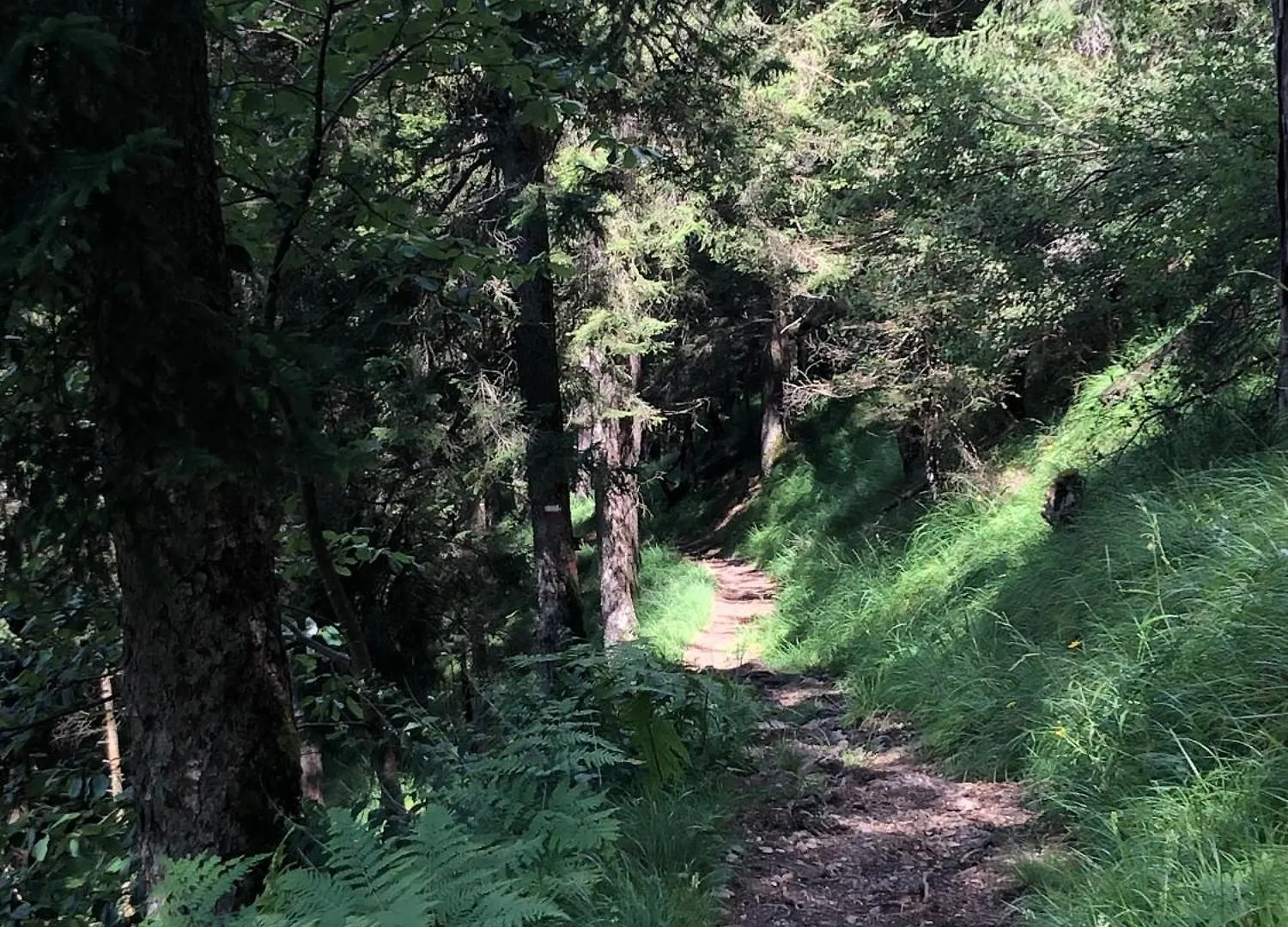 Appartamento Sogno Delle Dolomiti Calalzo di Cadore